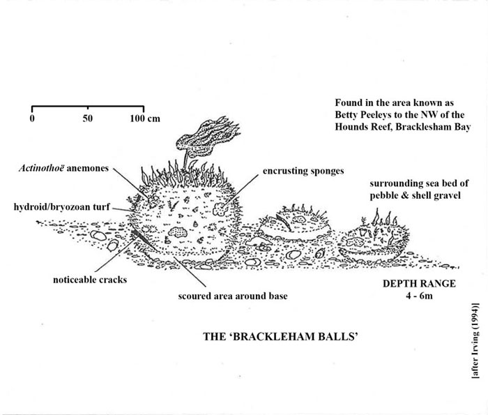 Diagrammatic representation of site