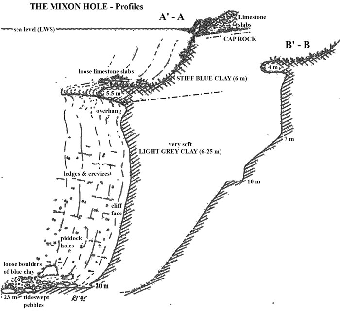 Diagrammatic representation of site