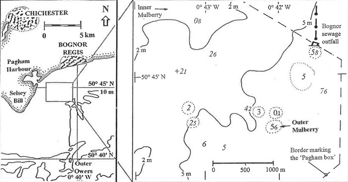 Site location