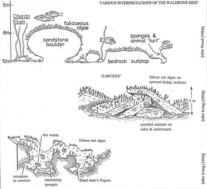 Diagrammatic representation of site