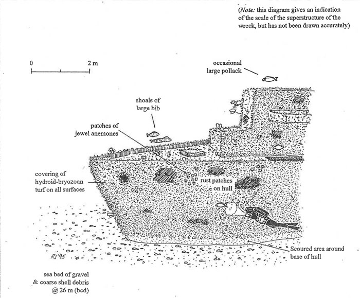 Diagrammatic representation of site